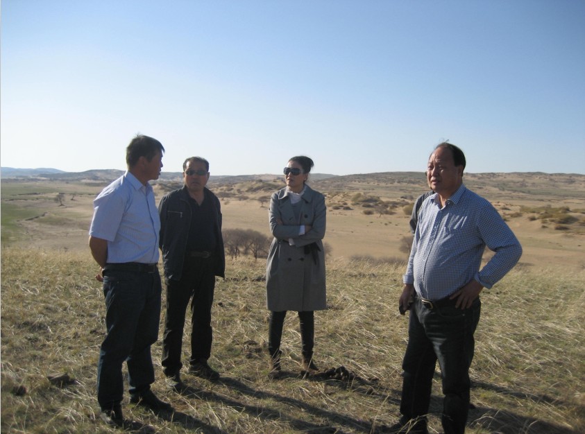 發(fā)揮資源優(yōu)勢，提高產(chǎn)業(yè)鏈競爭力——協(xié)會為企業(yè)間的合作搭建平臺